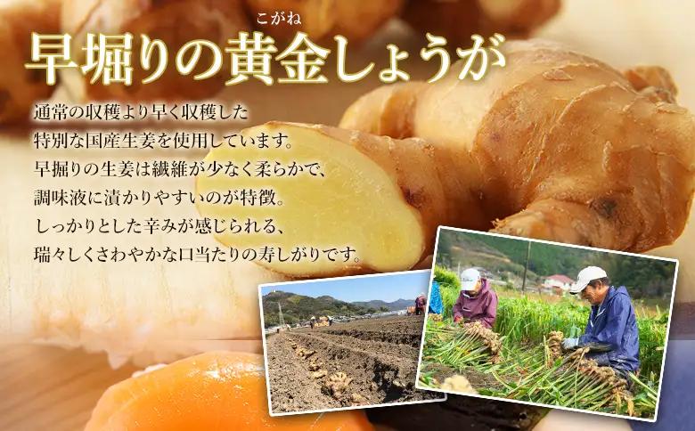 寿司ガリ 1kg×3袋 がり Xnb-0012