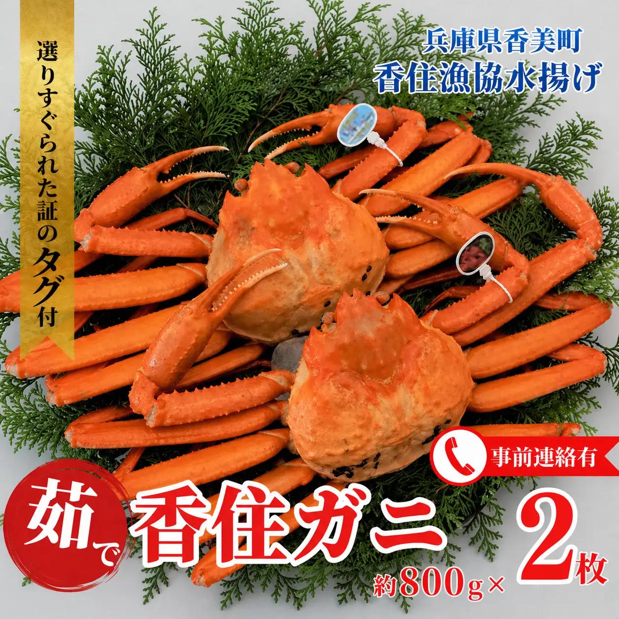 《ボイル》 香住ガニ 大 タグ付き 2枚【令和8年11月以降発送予定】かに カニ 03-08