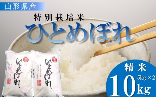 
                  【令和8年産・精米】竹原田ファームの特別栽培米ひとめぼれ10kg（5kg×2袋）※10月中旬頃から順次配送
                
