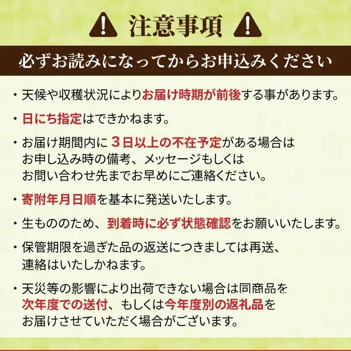 【2回定期便】シャインマスカット＆とうみワインの定期便（シャインマスカット 2房／プリマベーラ シャルドネ、メルロー・カベルネ）｜【JA信州うえだ／ヴィラデストワイナリー】ぶどう 葡萄 大粒 果物 フ