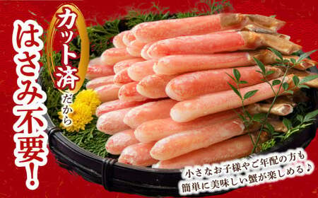 生ずわい蟹 カニ棒肉 500g（20～25本）フルポーション「かにしゃぶ・かに鍋・海鮮BBQにオススメ」 かに カニ ずわい蟹 足 ポーション むき身 しゃぶしゃぶ 鍋 海鮮 BBQ バーベキュー 簡