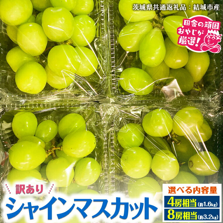 【ふるさと納税】＼ 選べる内容量 ／ （訳あり）シャインマスカット 4房 8房 【2025年9月より発送開始】 （茨城県共通返礼品 [ぶどう]：結城市産） 果物 フルーツ 不揃い わけあり 先行予約 家庭用 フルーツ ブドウ 果物 ぶどう シャイン マスカット くだもの 先行予約