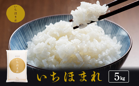 いちほまれ 5kg 高級ブランド米 いちほまれ
