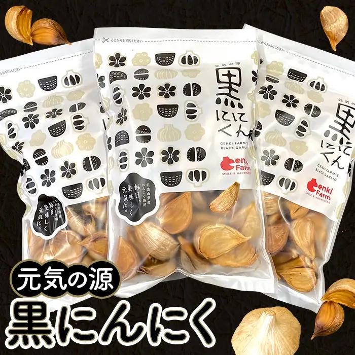 元気の源　黒にんにく　900g [No.502]