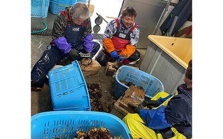 大福丸の殻付き牡蠣 30個 【三陸山田産】【沖縄・離島配送不可】三陸山田 山田町 山田湾 海産品 かき YD-722