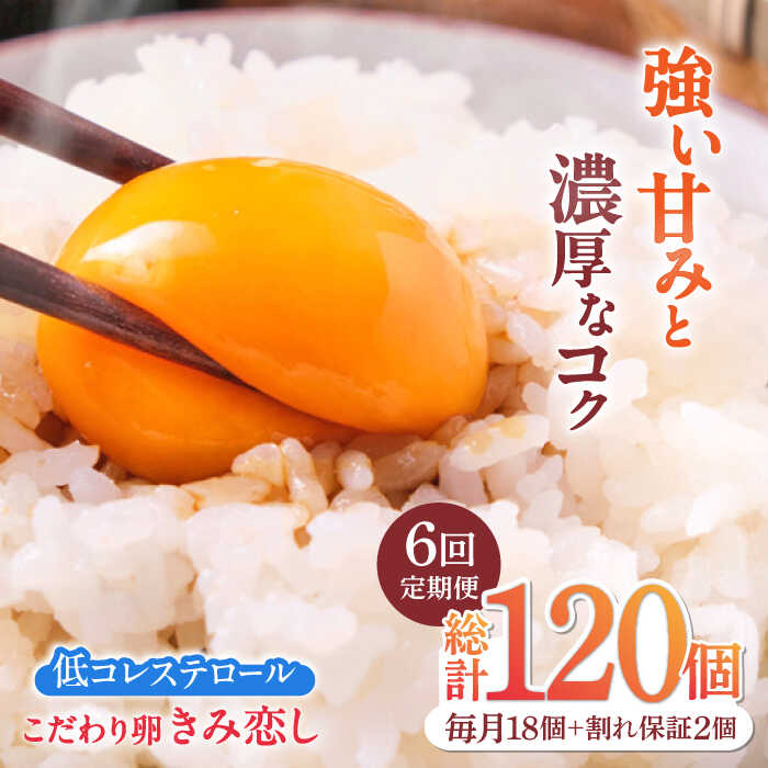 【ふるさと納税】【6回定期便】きみ恋し 箱入り 20個（18個+割れ保証2個）×6ヶ月 総計120個　広川町/伊藤養鶏場[AFAJ006]