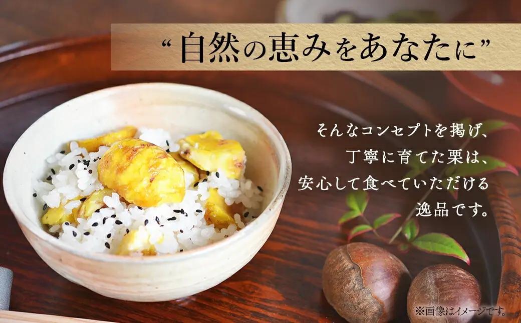 京都丹波 丹波くり むき栗 筑波 銀寄 計450g Lサイズ 丹波かなまろんふぁーむ