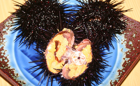 うに 礼文島産 キタムラサキウニ 蒸しうに缶 うに【100g×10缶】