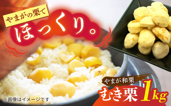 むき栗 約1kg（約250g×4pc） 【すみれファーム】 [ZEP060]