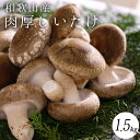 【ふるさと納税】最高級 肉厚椎茸 清流椎茸 1.5kg【しいたけ シイタケ 椎茸 生椎茸 国産 和歌山産】