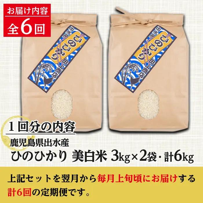 【6回定期便(連続)】鹿児島県 出水市産 ひのひかり 美白米 定期便 (3kg×2袋・計6kg)×全6回 【田上商店】 i543