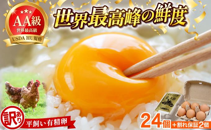 【訳あり】鮮度AA級の世界最高ランク 金太郎卵 平飼い たまご 24個（6個×4パック）|卵 玉子 鶏卵 地鶏 ブランド鶏 産地直送 新鮮 濃厚 卵かけご飯 わけあり ワケあり 冷蔵 送料無料 福岡県