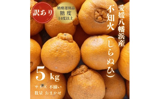 ＜糖度14.0以上酸1.4以下＞糖酸選別品 愛媛産 訳あり 不知火(しらぬひ)5kg＜C20-64＞【1620236】 YWTI059
