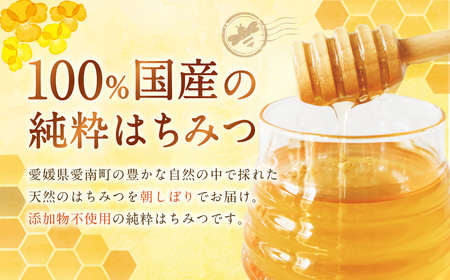 はちみつ 450g 蜂蜜 ハチミツ 蜜 みつ ミツ 常温 国産 愛媛県 【えひめの町（超）推し！（愛南町）】【2025年5月下旬から順次発送予定】（327）
