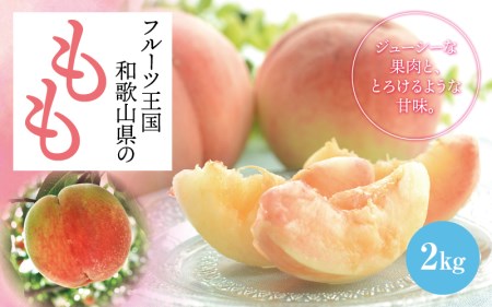 【先行予約】【夏の美味】【和歌山ブランド】フルーツ王国　和歌山の桃　約2kg　※2025年６月中旬～７月下旬頃順次発送予定（お届け日指定不可）白桃 白鳳清水 白桃 なつっこ 川中島 桃 モモ 和歌山の桃 フルーツ王国【ard048C】