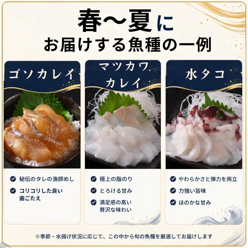 刺身セット 3～4人前 × 年3回定期便 刺身【AK】