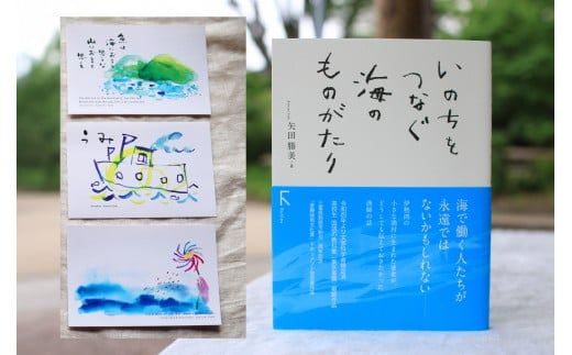 教科書掲載「いのちをつなぐ海のものがたり」と、美しいポストカード3枚セット♪