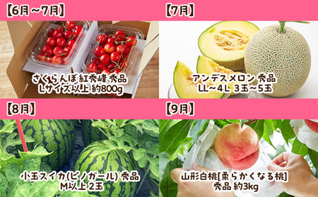 【定期便12回】まるごと山形 1年間定期便 FY23-685