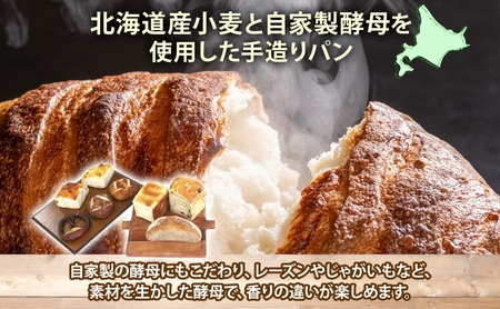 【ふるなびWEEK対象】自家製酵母パン 人気の定番セット Mサイズ パン 道産 小麦 惣菜パン 菓子パン フォカッチャ ベーグル プレッツェル 角食 山食 手づくり 自家製 酵母 人気 詰め合わせ 冷