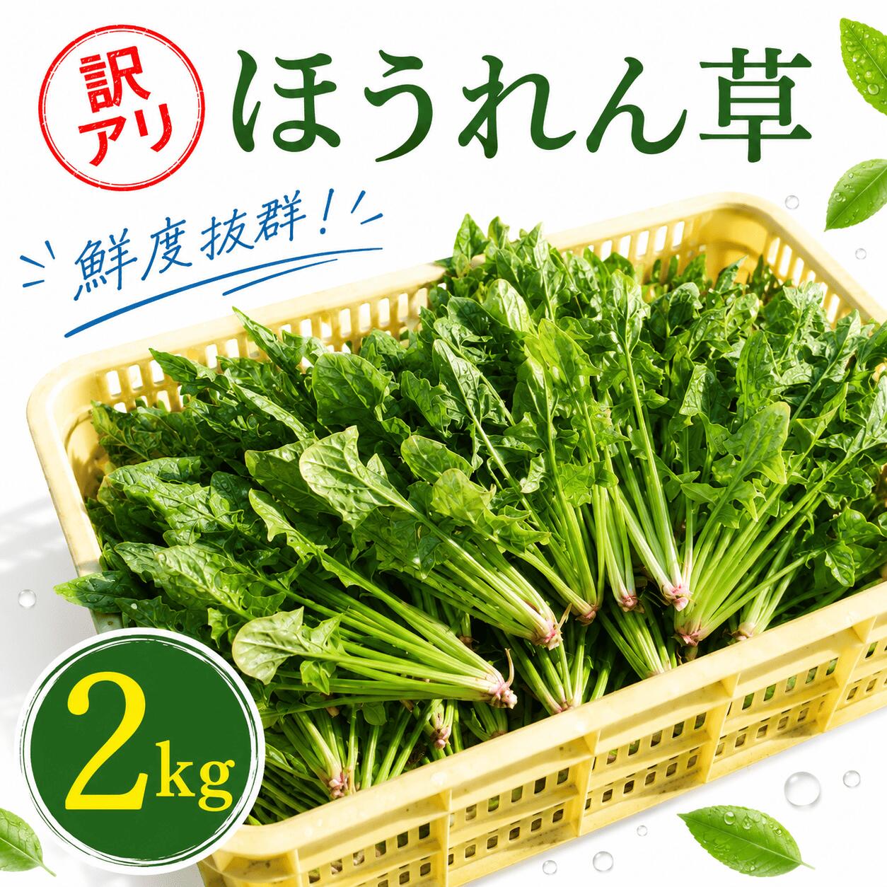 【ふるさと納税】 先行予約 ほうれん草 2kg・4kg 国産 ほうれん草 旬 野菜 家庭用 サラダ 炒め物 スープ カレー 常温配送 みずみずしい 甘み やわらかい