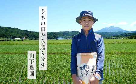 まっしぐら 玄米 令和8年産 山下農園 青森県産 まっしぐら【10kg 5kg×2袋】