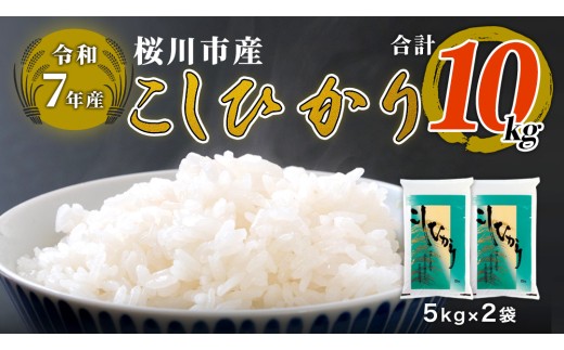 【 令和7年産 】数量限定 桜川市産 こしひかり 10kg（5kg×2袋） 茨城県産 桜川 米 お米 白米 コメ ごはん 精米 コシヒカリ こしひかり 国産 限定 [AX009sa]