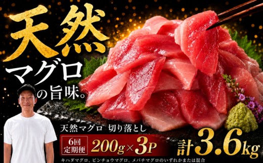 【6回定期便】天然マグロ切り落とし 200g×3P│天然マグロ 切り落とし 刺身 マグロ丼 冷凍 高知県 ふるさと納税 キハダマグロ ビンチョウマグロ メバチマグロ 海鮮 お取り寄せ グルメ 時短 簡単調理 解凍するだけ 一口サイズ 手巻き寿司 具材 ユッケ カルパッチョ 漬け丼 おかず おつまみ ギフト 贈答 贅沢 人気 おすすめ 産地直送 新鮮  晩酌 魚介