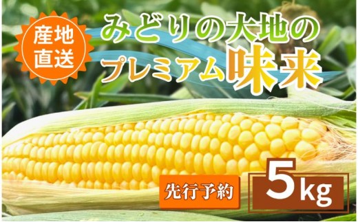 
                  【先行予約】とうもろこし プレミアム味来 みどりの大地 5kg（8～12本入り） 茹でとうもろこし スイートコーン ミラクルコーン 甘いコーン 野菜 長野県 信州 上田
                