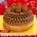 【ふるさと納税】 予約受付 チョコレート クリスマスケーキ 選べる 指定日 5号×1ホール 手作り トリュフ 北海道産 生クリーム 冷凍 熟成 ケーキ スイーツ デザート お菓子 洋菓子 濃厚 取り寄せ ギフト 誕生日 内祝い 贈り物 お祝い 記念 ウィンズアーク 埼玉県 羽生市