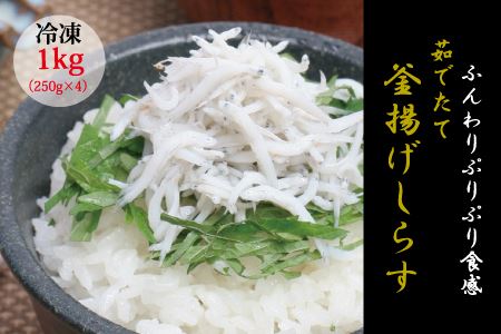 茹でたて釜揚げしらす　1kg(250g×4パック)【冷凍】/しらす 無添加　無着色 シラス 釜揚げ 小分けできる 冷凍 【mar103】