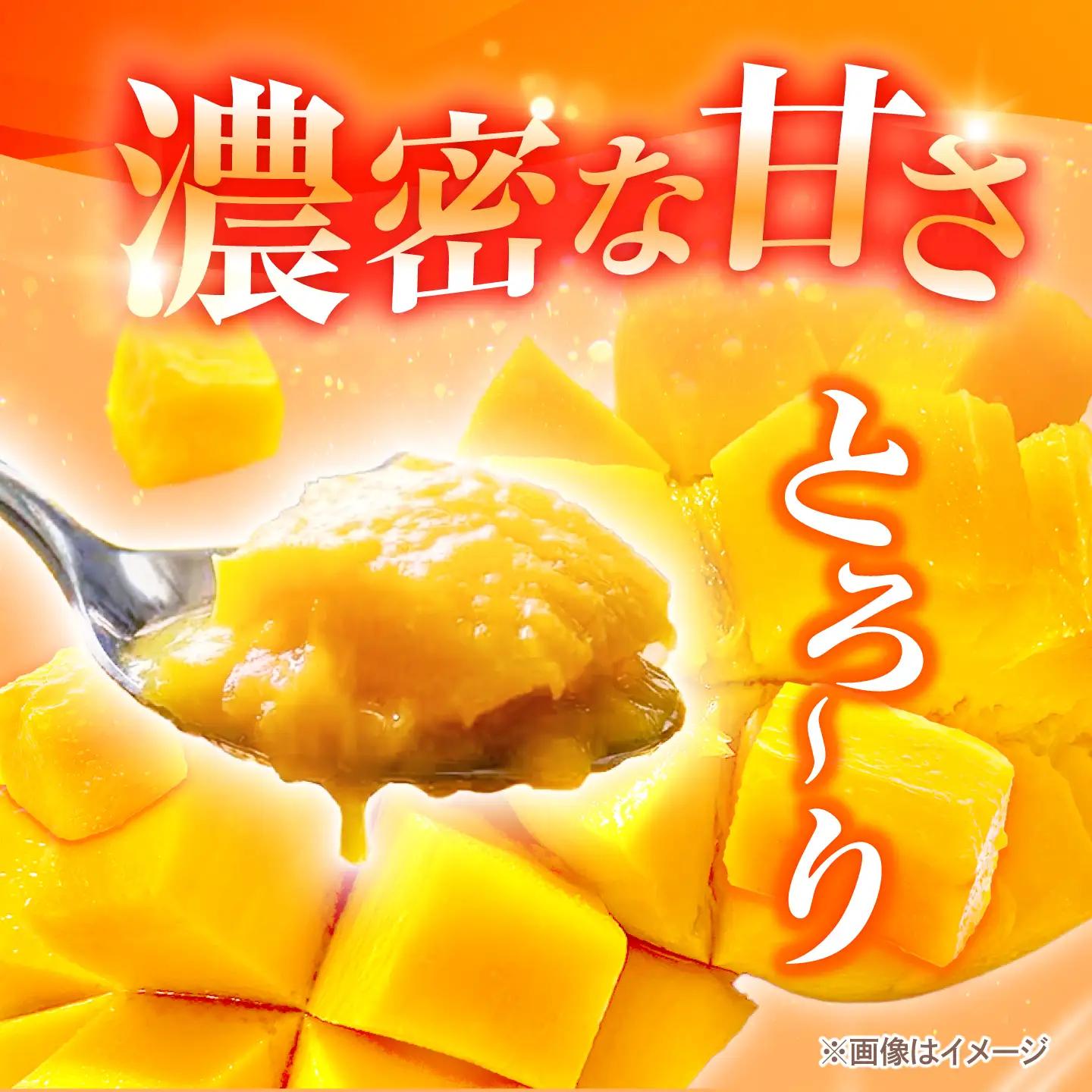 【2027年発送】マンゴー 贈答用 2kg 沖縄 BCAN002