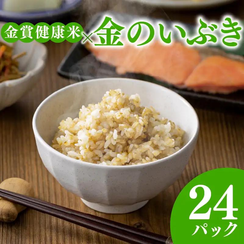 【金賞健康米】金のいぶき 玄米 パックご飯 120g×24個 胚芽2.9倍 GABA ゆめぴりか