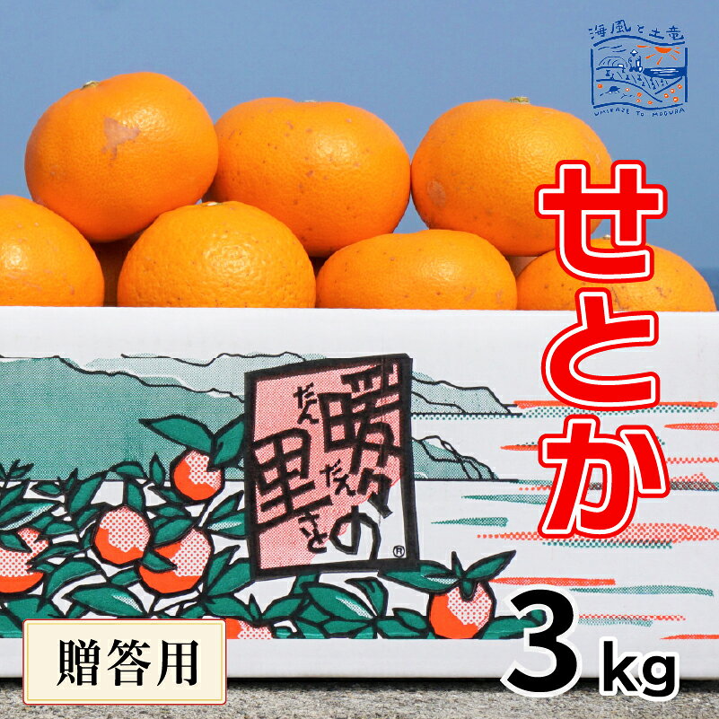【ふるさと納税】 【2027年3月上旬頃から順次発送】贈答用 せとか 3kg 露地栽培 ｜産地直送 国産 柑橘 期間限定 数量限定 ご当地 愛媛県 松山市