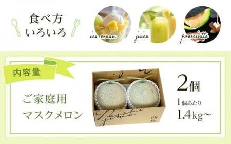 【3回定期便】家庭用 メロン 2玉 【定期便3回メロンメロンメロンメロン】