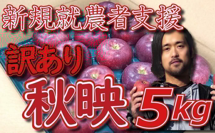 
            新規就農者応援 りんご （秋映） 訳あり 5㎏ 数量限定 先行予約 伊藤快 家庭用
          