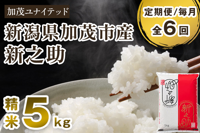 
            【令和6年産米】【定期便6ヶ月毎月お届け】新潟県産 新之助 精米5kg 《5kg×1袋》 新潟 ブランド米 加茂市 加茂ユナイテッド
          