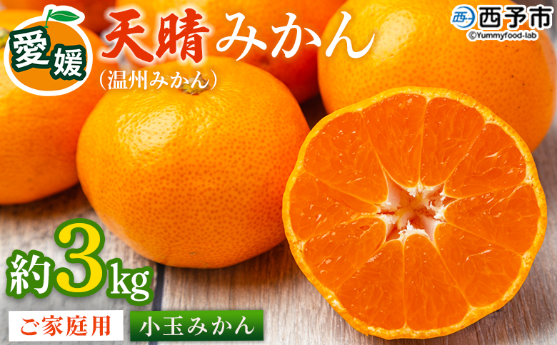 ＜愛媛県明浜産 天晴みかん（温州みかん）約3kg 小玉サイズ＞『2026年11月中旬～2027年1月上旬迄に順次出荷予定』 家庭用 訳あり ワケアリ 果物 くだもの フルーツ ミカン 柑橘 特産品 笑