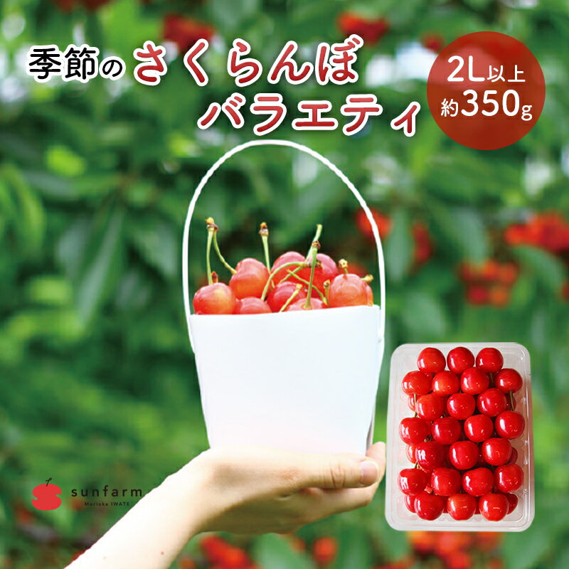 【ふるさと納税】盛岡市 サンファーム 季節のさくらんぼ バラエティ 2L以上 約350g※品種はお選びいただけません 果物類 フルーツ チェリー 　お届け：2025年6月15日～2024年7月5日