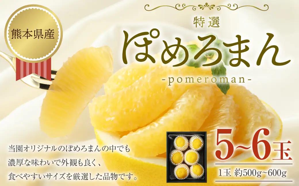 特選 ぽめろまん 5～6玉 (化粧箱入) 【2027年1月下旬発送開始】