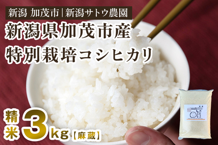【令和7年産米】化学肥料不使用の従来コシヒカリ【麻蔵3kg】特別栽培 有機肥料で育った厳選米 加茂市 新潟サトウ農園
