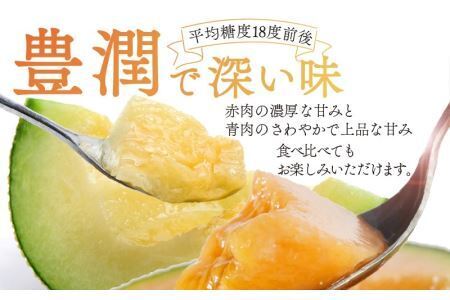 勝山産アールスメロン 2個入り（赤肉・青肉セット） ※2026年7月下旬以降順次発送 [A-060007]
