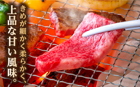 長崎和牛 焼肉用 ロース 約400g 牛肉 小分け 【肉の牛長】[RCJ004]