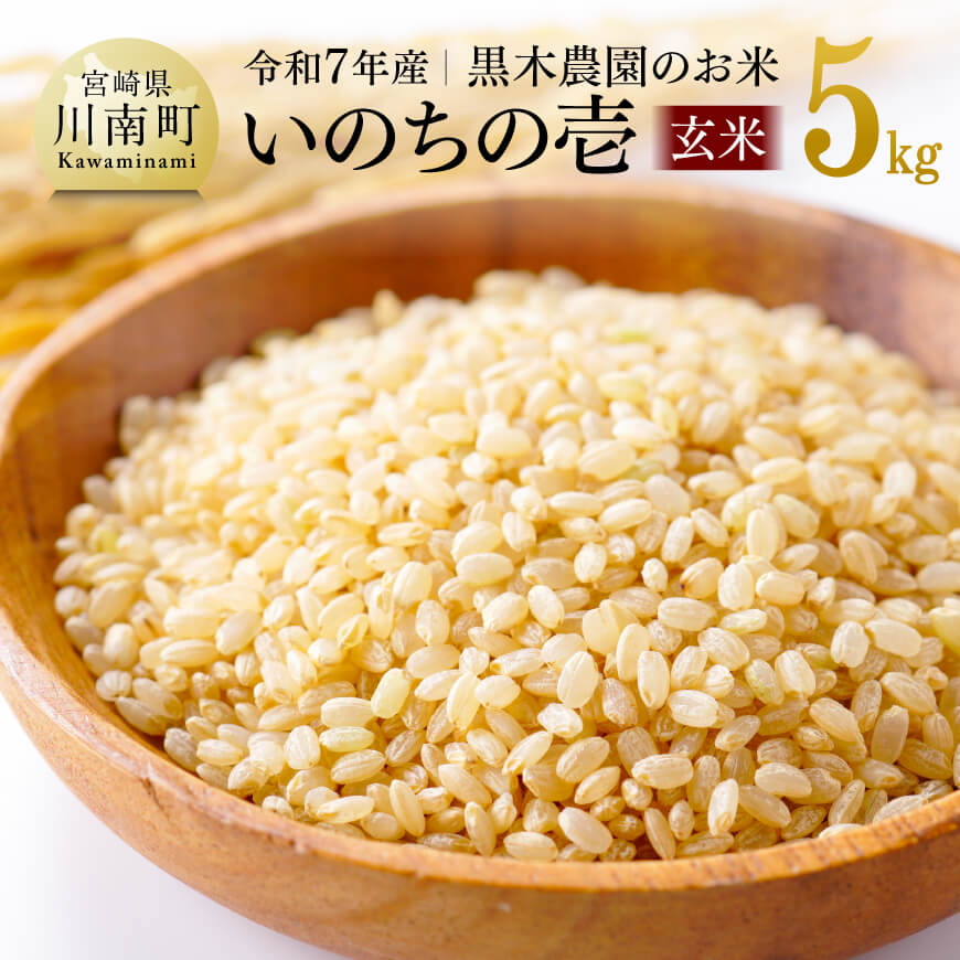 【ふるさと納税】【令和7年産】 黒木農園のお米 「いのちの壱(玄米)」 5kg - 米 お米 玄米 国産 九州産 宮崎県産 いのちのいち おにぎり D03225