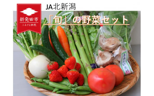 野菜 旬 新鮮 セット 食べ比べ 詰め合わせ 新潟県産 新発田産 産地 直送 鮮度 食育 ソムリエ 厳選 選りすぐり  おまかせ 季節 旬 国産 やさい 特産品 ヤサイ 季節の野菜 果物 新潟県 新発田市 ( キャベツ アスパラガス 山菜 枝豆 トマト ナス いちじく かぼちゃ さといも オータムポエム ほうれん草 原木 しいたけ )