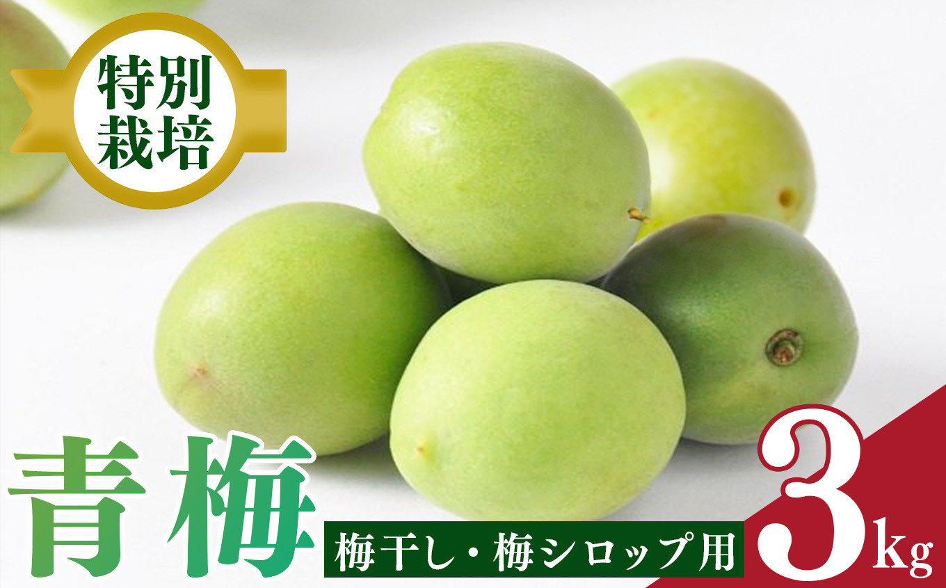 
            【堀内果実園】奈良県産 特別栽培 大切に育てた青梅(梅ジュース・梅酒用）3kg | 果実 かじつ 梅 うめ ウメ 青 ジュース 梅酒 
          