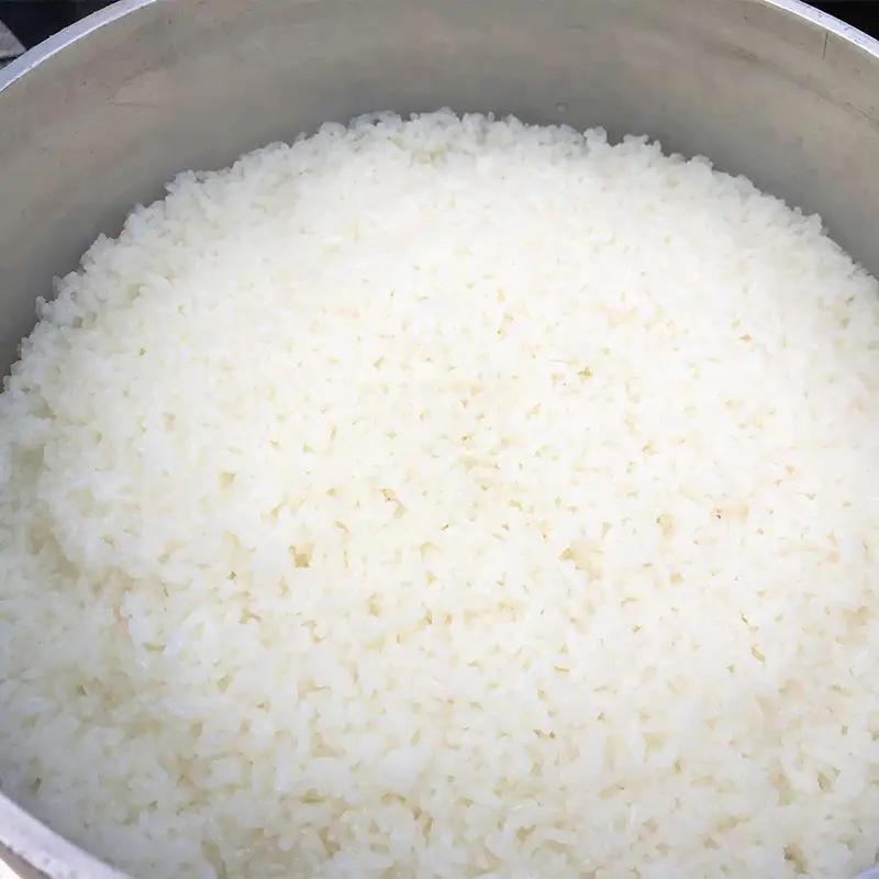 とちぎの星 お米 10kg 米 こめ 食品 農家 贈答 贈り物 ギフト プレゼント 家庭 自宅 栃木県 足利市 F7Z-2502