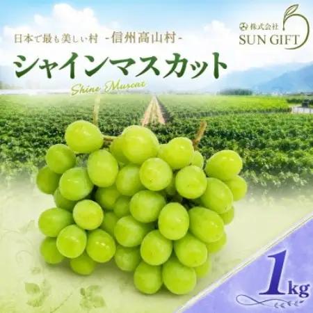 【先行受付】信州高山村産　シャインマスカット1kg(2～3房入り)秀品(訳あり品ではございません)【配送不可地域：離島・北海道・沖縄県】【1740774】