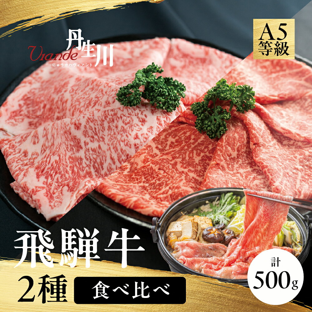 【ふるさと納税】2種食べ比べ すき焼き！ 飛騨牛 A5等級 500g (サーロイン250g＋赤身もも250g) |黒毛和牛 ブランド牛 鍋 豪華 丹生川精肉 JJ005VP