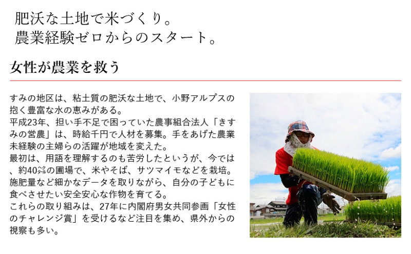 餅 きすみのこもち 12袋セット[ もち お餅 もち米 個包装 無添加 お正月 ]