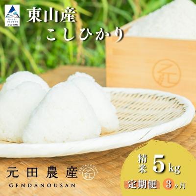 ふるさと納税 小松市 【先行予約】【定期便】令和8年産 コシヒカリ 精米5kg×3ヶ月 お米 白米 こしひかり 元田農産